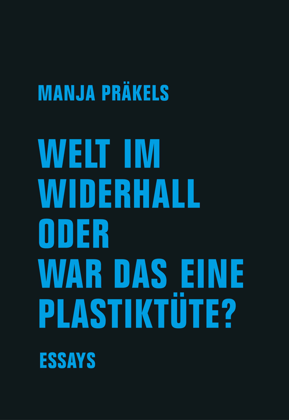 Buchcover Welt im Widerhall